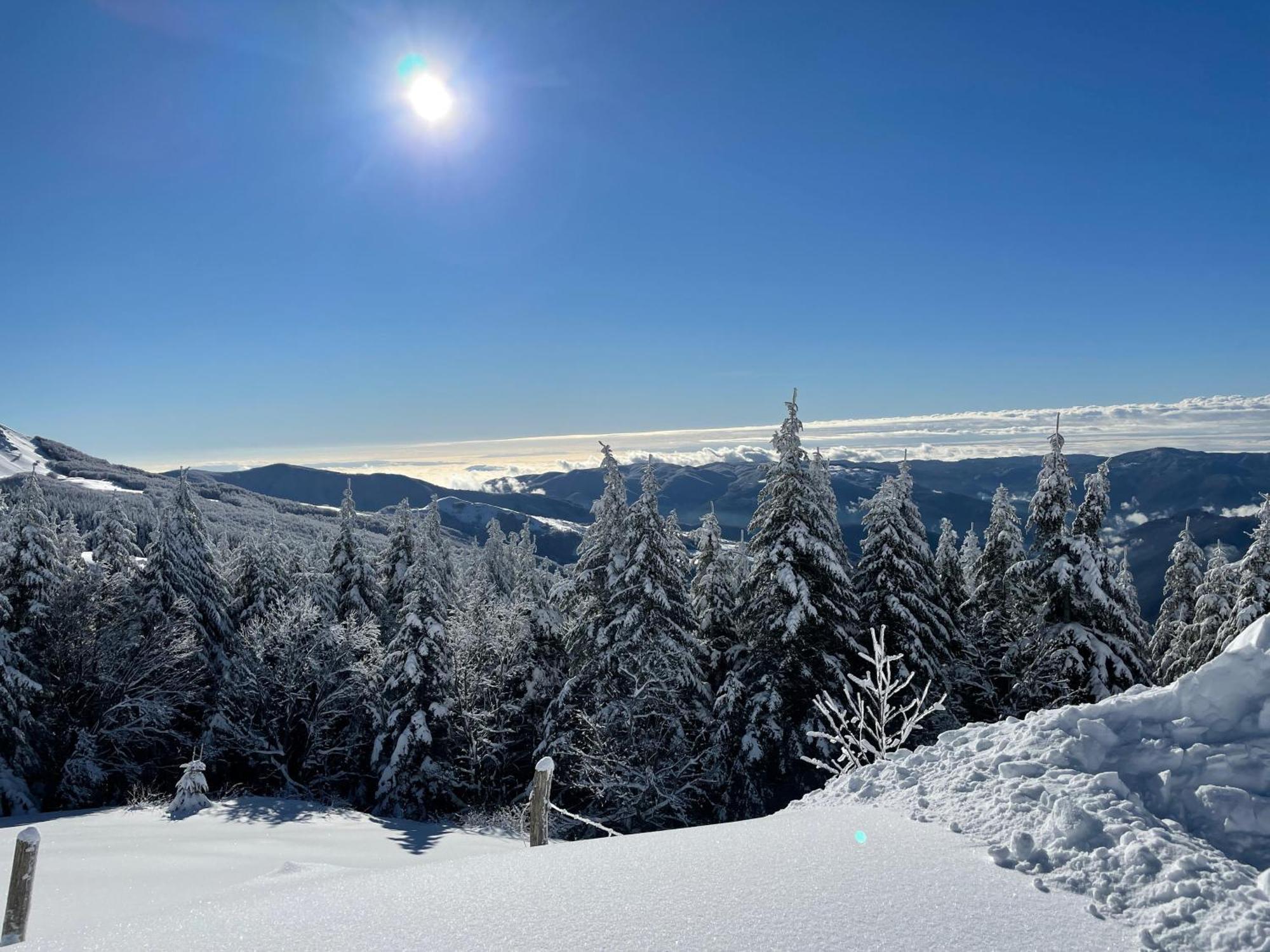 Albergo Rifugio La Grande Baita Cutigliano Bagian luar foto